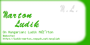 marton ludik business card